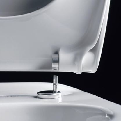 Emulatie spoor Struikelen Toiletbril Kopen: Waar Op Letten? - Badkamer Inspiratie