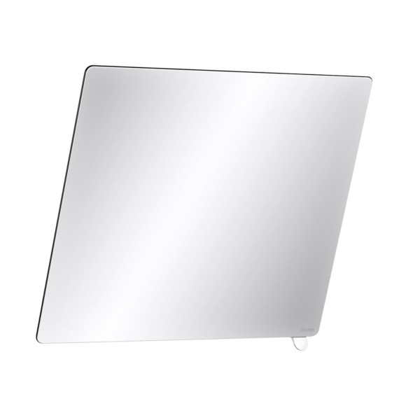 Delabie Kantelbare spiegel met greep Heldere witte HR nylon